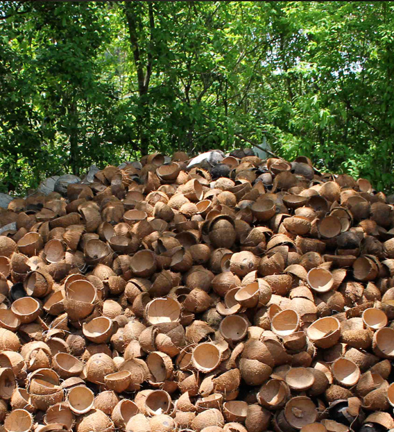 Coconut Shell Flour